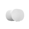 Bocina Inalámbrica Sonos ERA 300 W Dolby Atmos Wi-fi Y Bt